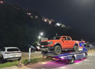 Pattaya intensifica gli sforzi per gestire i cani randagi a seguito delle denunce virali per danni ai veicoli