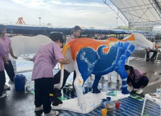 Приготовьтесь! Фестиваль гонок на буйволах в Чонбури 2025 состоится в этот понедельник, 6 октября.