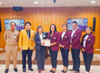 Ассоциация ночной жизни Паттайи призывает Сенат Таиланда пересмотреть закон об употреблении алкоголя, заявив, что его применение может разрушить туризм.