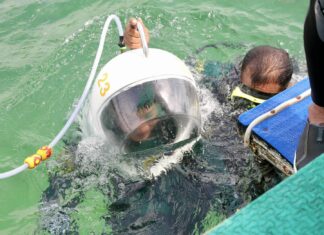 Паттайя проверяет деятельность Sea Walker для улучшения туристического имиджа и защиты морской экосистемы