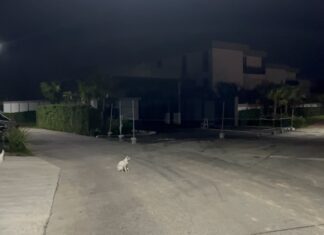 Pattaya Teen in Tears after Thief Steals Motorcycle, Leaving Her Without Transport to School