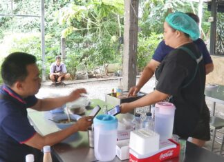 В первый день программы Half Half в Паттайе царит оживление: покупатели спешат воспользоваться субсидиями