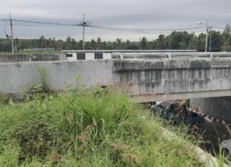 Наглые воры выкапывают землю, чтобы украсть медные кабели в туннеле разворота на шоссе 331