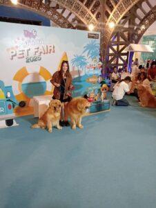 Pattaya Pet Fair 2025 Kicks Off and Runs All Weekend at Terminal 21 Pattaya!