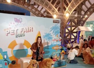 Pattaya Pet Fair 2025 Kicks Off and Runs All Weekend at Terminal 21 Pattaya!