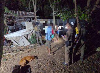 Drunken Brawl Between Friends Turns Deadly in Sriracha after Man Stabbed to Death