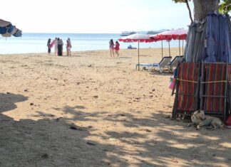 شجار على شاطئ جومتين ينتشر على نطاق واسع