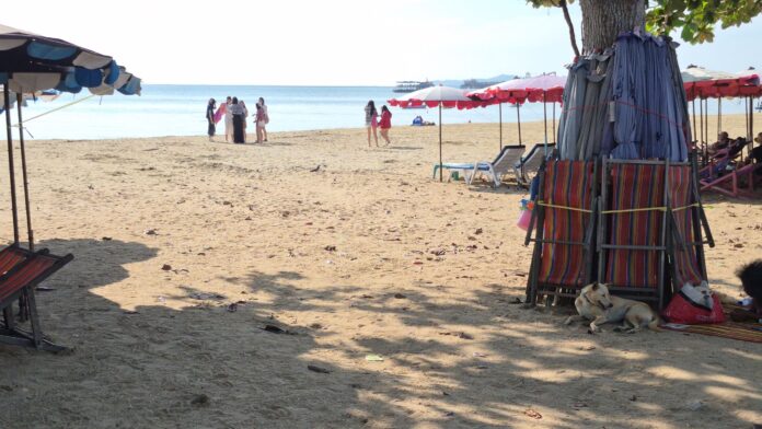 Драка на пляже Джомтьен стала вирусной