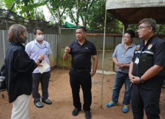 Pattayas herrelösa hundhem klarar inspektion med glans, säger biträdande borgmästare