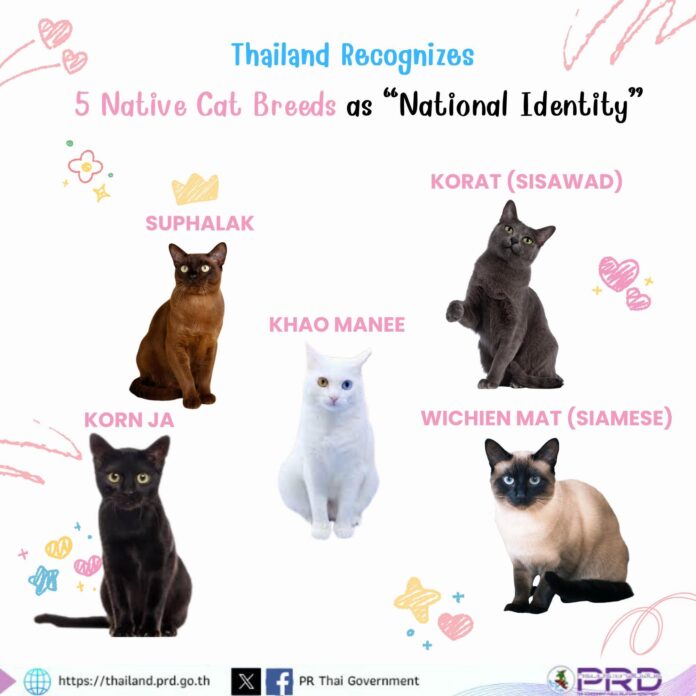 FB_IMG_1763546962617