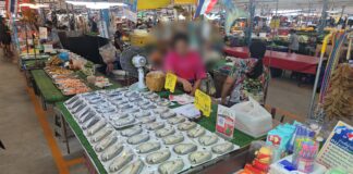 シーラチャ市場でサバ売りの携帯電話を盗む客を装った泥棒をCCTVが捉える