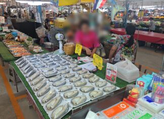 CCTV legt vast hoe een dief zich voordoet als klant en de telefoon van een makreelverkoper steelt op de Sri Racha-markt