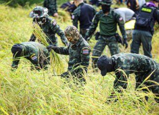 Royal Thai Army Reports Escalating Military Movements Along Cambodia Border