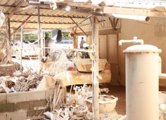 Главные новости Таиланда за прошедшую неделю: число погибших в результате наводнения в Хатъяе достигло 145 человек, запрет на продажу алкоголя в дневное время отменяется в порядке эксперимента и многое другое