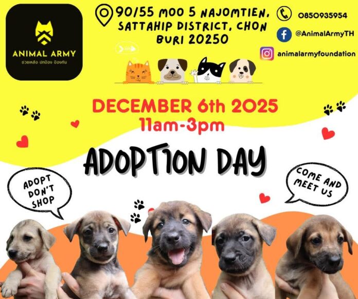 Армия животных недалеко от Паттайи проведет день усыновления на этой неделе