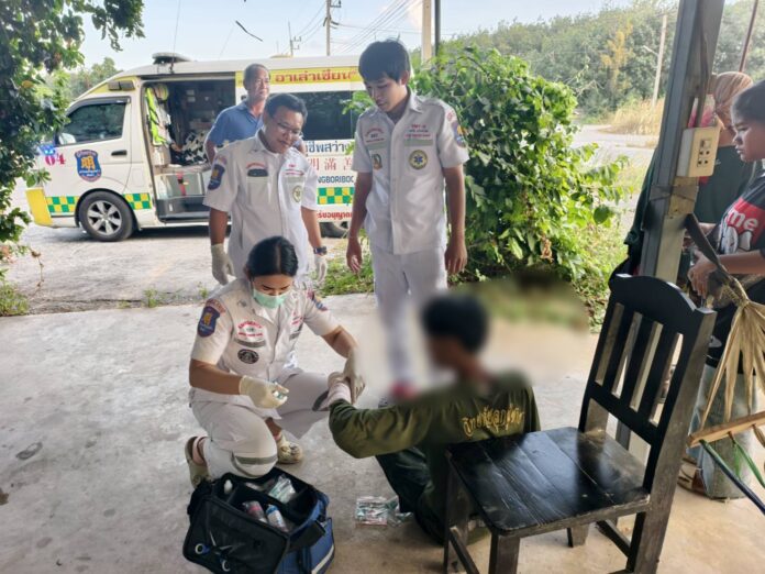 Подрядчик из Паттайи чуть не потерял руку в аварии с бензопилой при спиле дерева