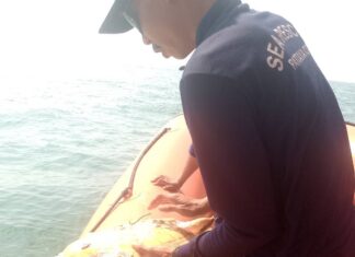 Spektakuläre Rettung: Pattaya Marine Team befreit gefährdete Meeresschildkröte aus Fischernetz