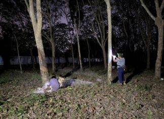 Yhteisön valokeilassa: Nuoret sisarukset uhmaavat pimeyttä auttaakseen yksinhuoltajaäitiä kumin teossa Chonburin plantaasilla