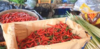 Skyhøye priser på chili og grønn papaya belaster husholdningsbudsjettene i Pattaya