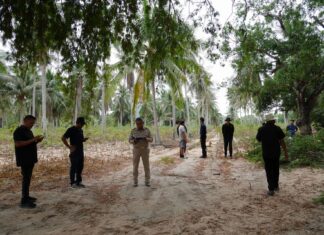 Takhian Tian pormestari vannoo, että teiden on oltava hyvässä kunnossa, kun hän raivaa pitkään laiminlyötyä julkista polkua asukkaille