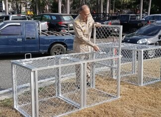 居民投诉后,是拉差市长视察市政山,准备设置捕猴笼