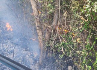 Un pequeño incendio en un cartel de la ciudad de Pattaya causa preocupación, pero no hay heridos.