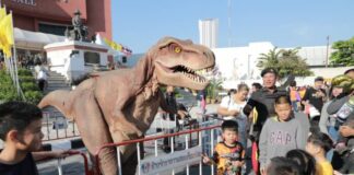 Паттайя готовится к грандиозному празднованию Дня защиты детей 10 января 2026 года.