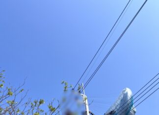 طيار شراعي أمريكي يُخطئ في تقدير الهبوط، فيعلق طائره أعلى عمود كهرباء عالي الجهد، مما يتسبب في انقطاع التيار الكهربائي عن جزيرة كوه لارن بأكملها.