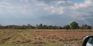 Der Bürgermeister von Takhian Tia und ein Mitglied des Provinzrats von Chonburi sprechen sich gemeinsam für eine Lösung des Problems der unzureichenden Wasserversorgung für die Landwirtschaft aus.