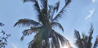 Takhian Tia underdistriktskommune inngår i Chonburi provinsielle retningslinjer for å fremme et rent og ryddig Takhian Tia-initiativ