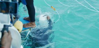 Pattaya er pionerer i Thailands første lisensordning for sjøvandrere: Strenge inspeksjoner sikrer sikkerhet og marin bevaring