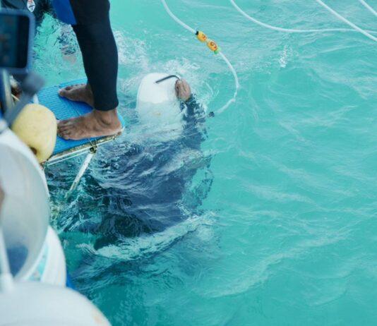 Pattaya jest pionierem pierwszego w Tajlandii systemu licencjonowania Sea Walker: surowe kontrole zapewniają bezpieczeństwo i ochronę środowiska morskiego