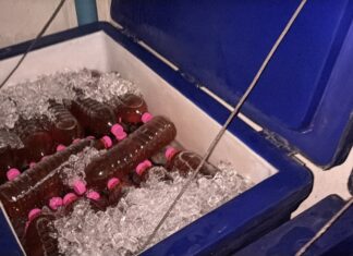 Las autoridades del distrito de Banglamung allanan una tienda de comestibles que se presenta como vendedor de la bebida de kratom "4×100", arrestan al propietario y confiscan gran cantidad de evidencia.