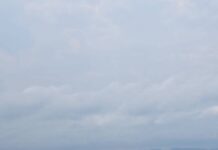 Туристы впали в панику, когда на пляже Джомтьен из моря вынырнул большой питон.