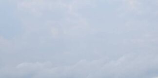 Panique chez les touristes : un grand python surgit de la mer sur la plage de Jomtien