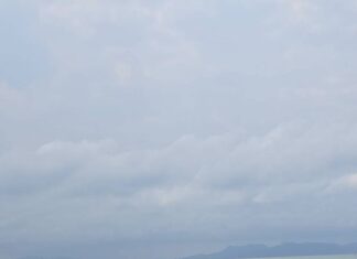 Туристы впали в панику, когда на пляже Джомтьен из моря вынырнул большой питон.