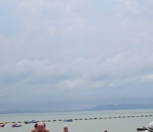 Туристы впали в панику, когда на пляже Джомтьен из моря вынырнул большой питон.