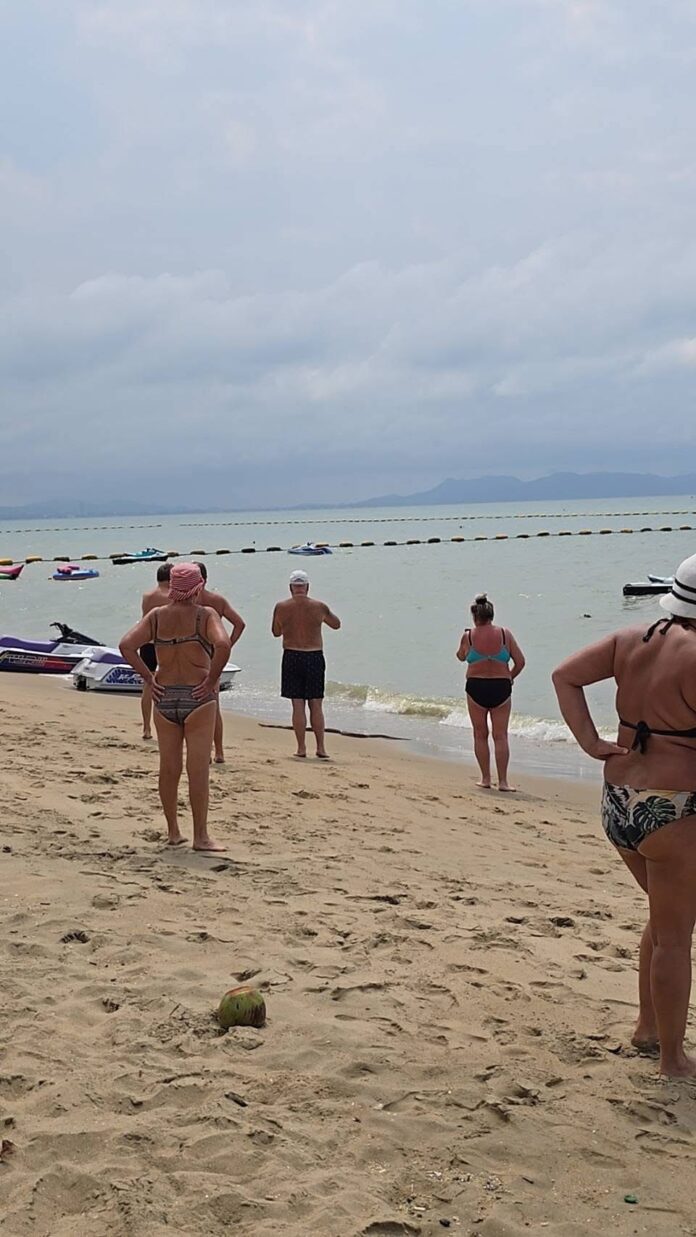 Туристы в панике, когда из моря на пляже Джомтьен появился большой питон