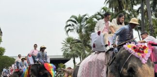 В садах Нонг Нуч в Паттайе День святого Валентина отмечают по-своему: здесь есть слоны и проводятся регистрации браков.
