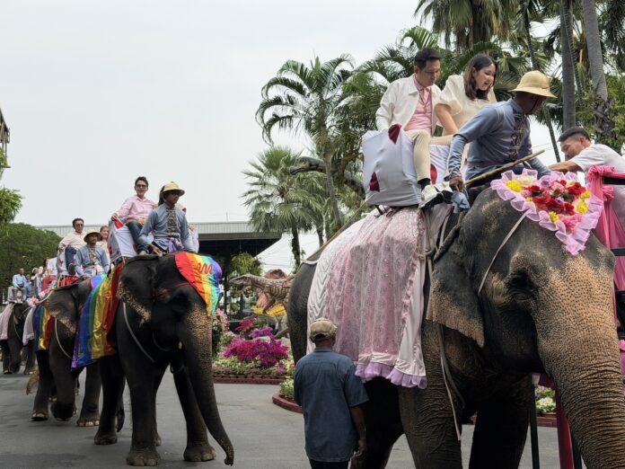 Сады Нонг Нуч в Паттайе уникально отмечают День святого Валентина с слонами и регистрацией браков