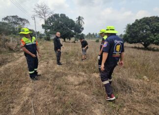 Жуткая находка в Паттайе: в кокосовой роще обнаружены человеческий череп и кости. Рабочий из Лаоса утверждает, что сон указал ему на местонахождение останков.