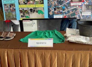 De Thaise politie heeft een verdachte gearresteerd in verband met de gruwelijke verbranding van de Siberische husky "Molly" in Songkhla.