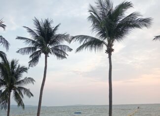 Belangrijkste nationale nieuwsberichten over Thailand van de afgelopen week: Visumvrije toegang van 60 dagen wordt herzien met het oog op verkorting, en meer.