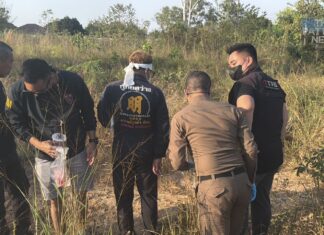Top National Thailand Stories From the Past Week, Missing Russian Man Found Murdered Dismembered, and MoreÂ