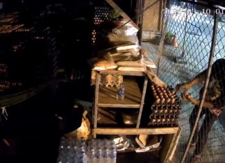 В Хуай Яе попался на вирусное видео целеустремленный вор яиц.