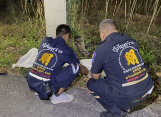 파타야 인근에서 고속으로 달리던 BMW 세단 차량이 오토바이를 탄 태국 남성과 충돌해 즉사했다.