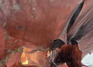 Thailändskt lastfartyg attackerat i Hormuzsundet mitt i iranska hot mot sjöfarten