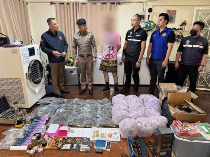 Власти Паттайи провели рейд на несанкционированное производство каннабиса, организованное гражданином России