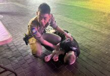 Drunken Norwegian Tourist Assisted by Pattaya Walking Street Patrol Team