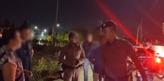 Thai Woman Surrenders After Stabbing Polish Man in Dog-Walking Dispute in Sattahip, She Claims Self Defense